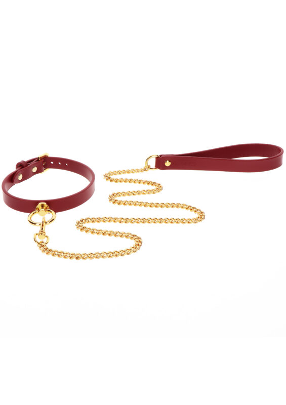O-Ring-Halsband und Kettenleine – Bild 4