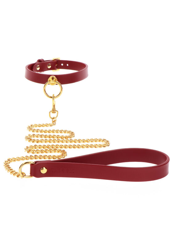 O-Ring-Halsband und Kettenleine – Bild 5